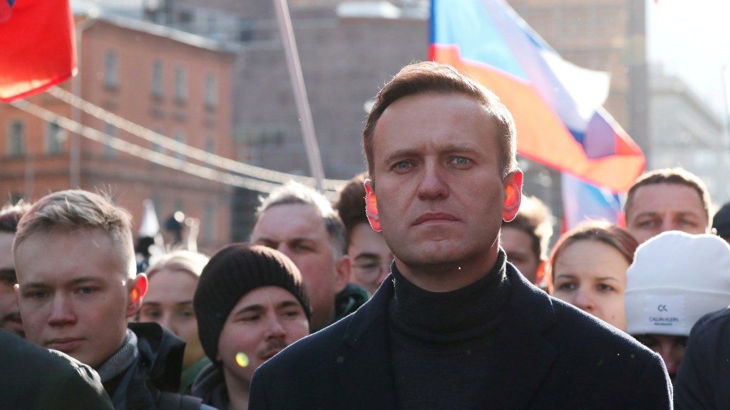 Russian opposition politician Alexei Navalny in Feb 2020