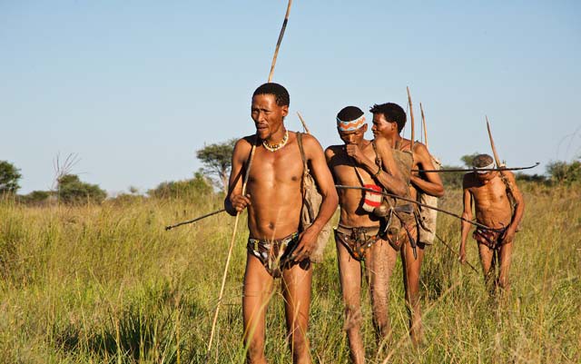 San bushmen hunting in Namibia.